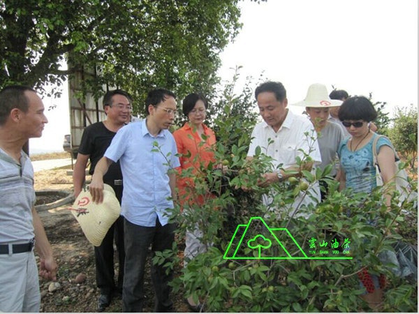江西省油茶辦主任、工程師孫勇、省科技廳農(nóng)村工作處副處長、副調(diào)研員尹伊等基地指導(dǎo)工作