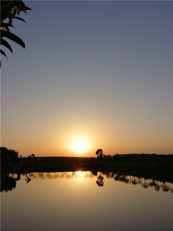 基地景觀(guān)