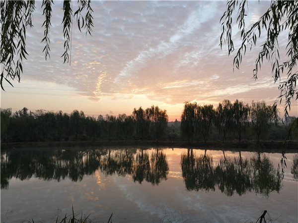 基地景觀(guān)
