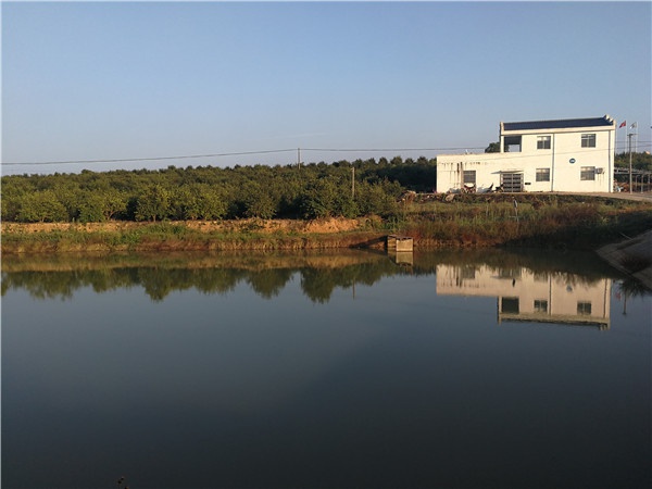 基地景觀(guān)